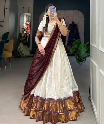 Tissue silk bollywood saree two piece festive combo 1
